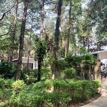 Hilltop Dai Lai H230 Villa Ханой Екстериор снимка